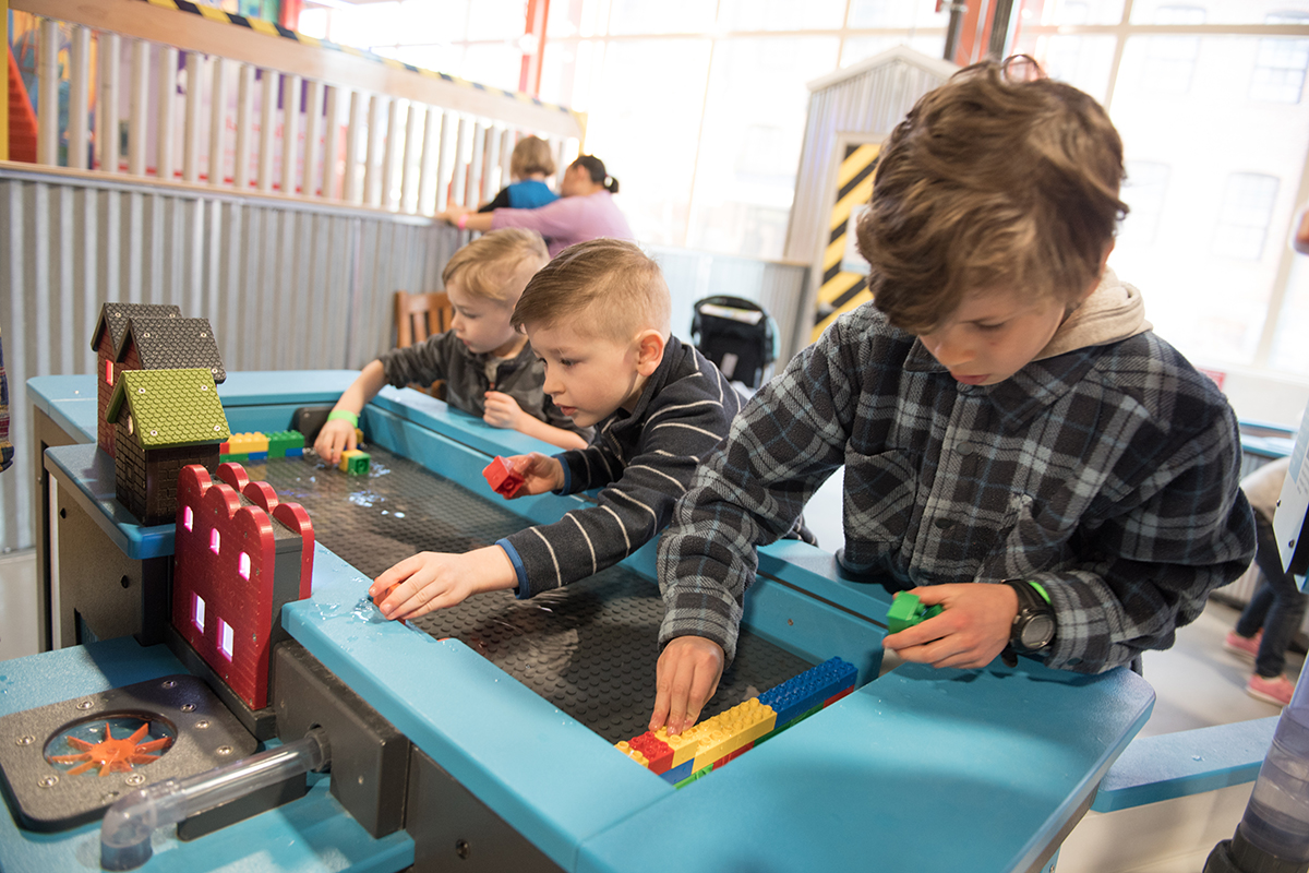 wild world of bees exhibit